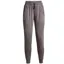 Under Armour Women's HeatGear Pants Grey